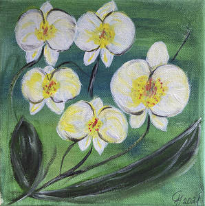 Orchideen (20x20)